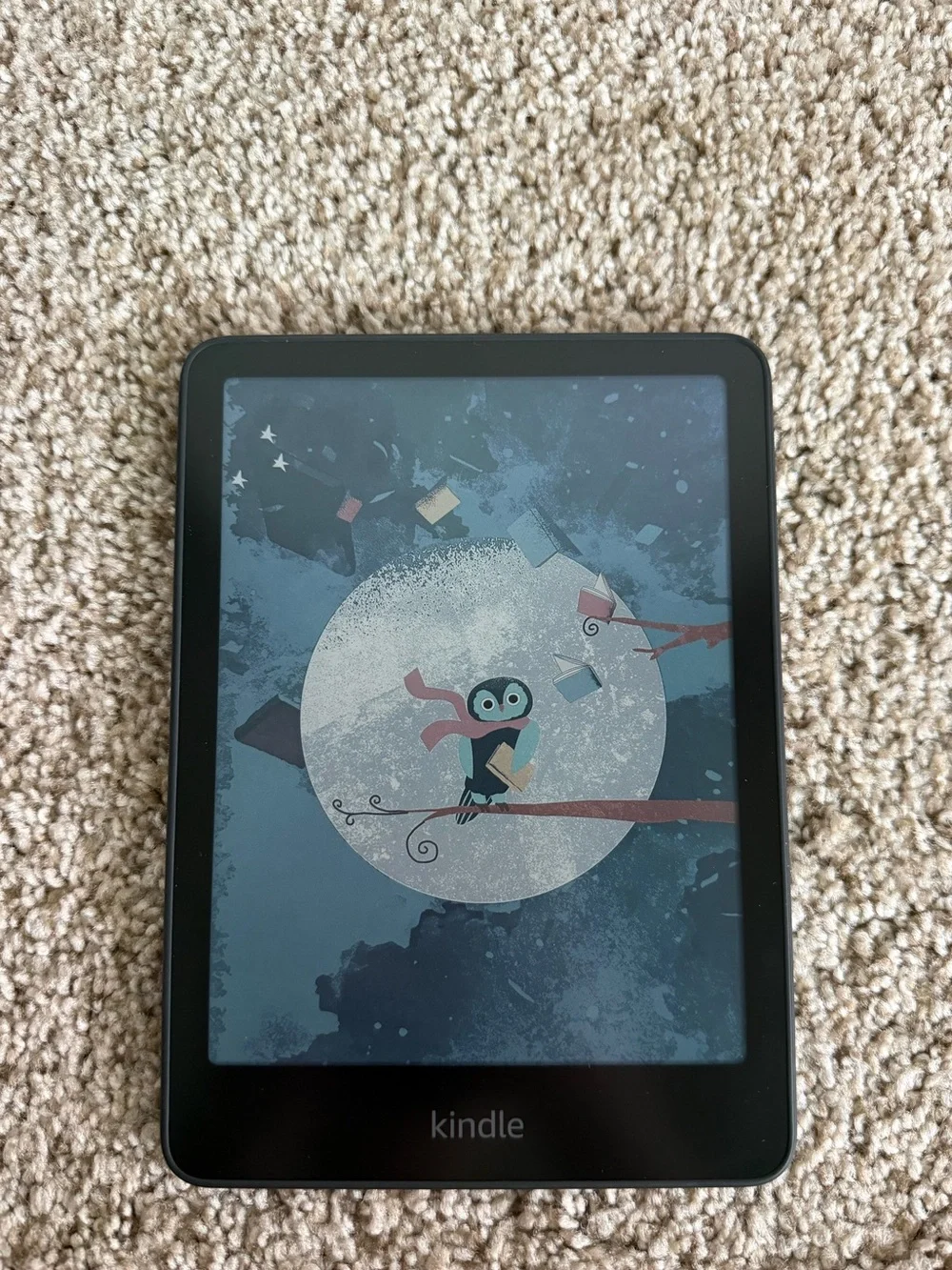 Kindle Colorsoft 16GB